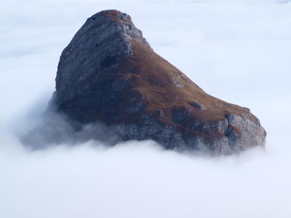Guesthouse Ukus Durmitora Žabljak Exteriér fotografie