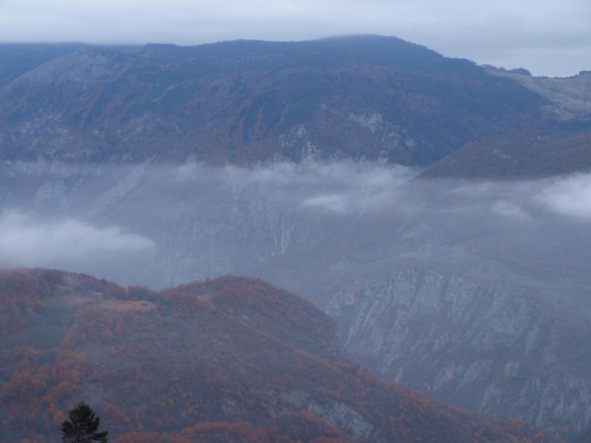 Guesthouse Ukus Durmitora Žabljak Exteriér fotografie